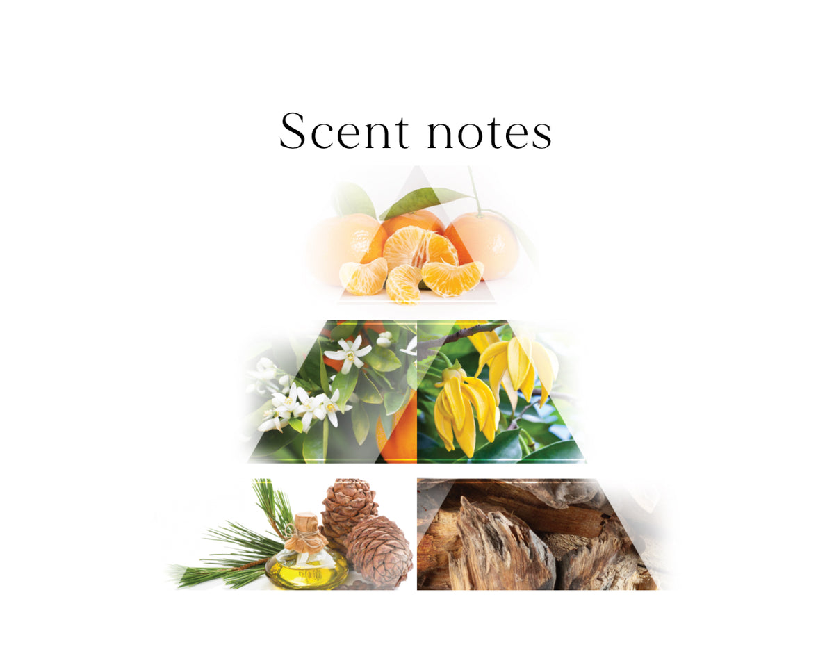 La rive élixir edp